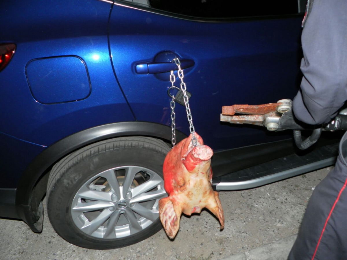 В Садовом к припаркованной на тротуаре машине повесили на цепь свиную голову